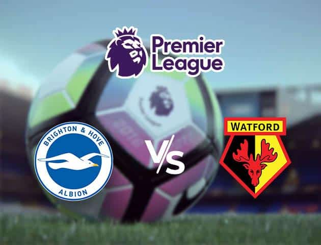 Soi kèo nhà cái Brighton vs Watford, 9/02/2020 - Ngoại Hạng Anh