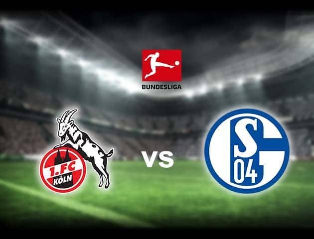 Soi kèo nhà cái Cologne vs Schalke 04, 1/3/2020 - VĐQG Đức