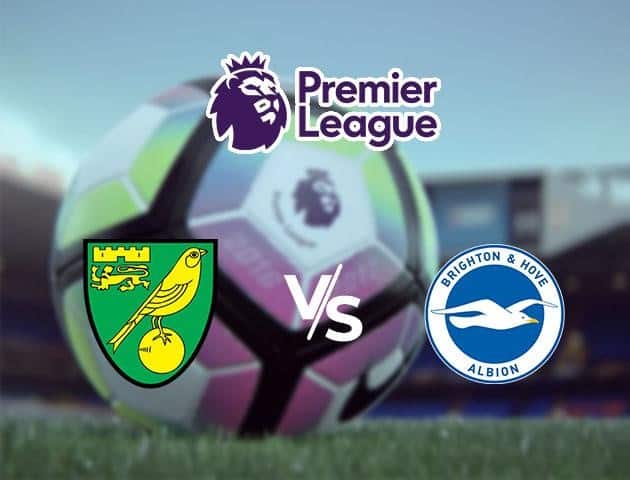 Soi kèo Win2888win288 Norwich City vs Brighton & Hove Albion, 04/7/2020 – Ngoại Hạng Anh