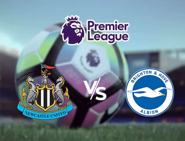 Soi kèo nhà cái Newcastle vs Brighton, 20/09/2020 - Ngoại Hạng Anh