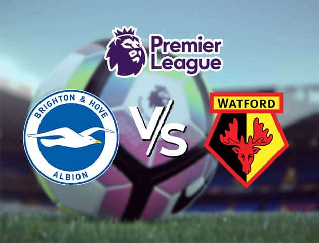 Soi kèo Win2888win288 Brighton vs Watford, 21/08/2021 – Ngoại hạng Anh